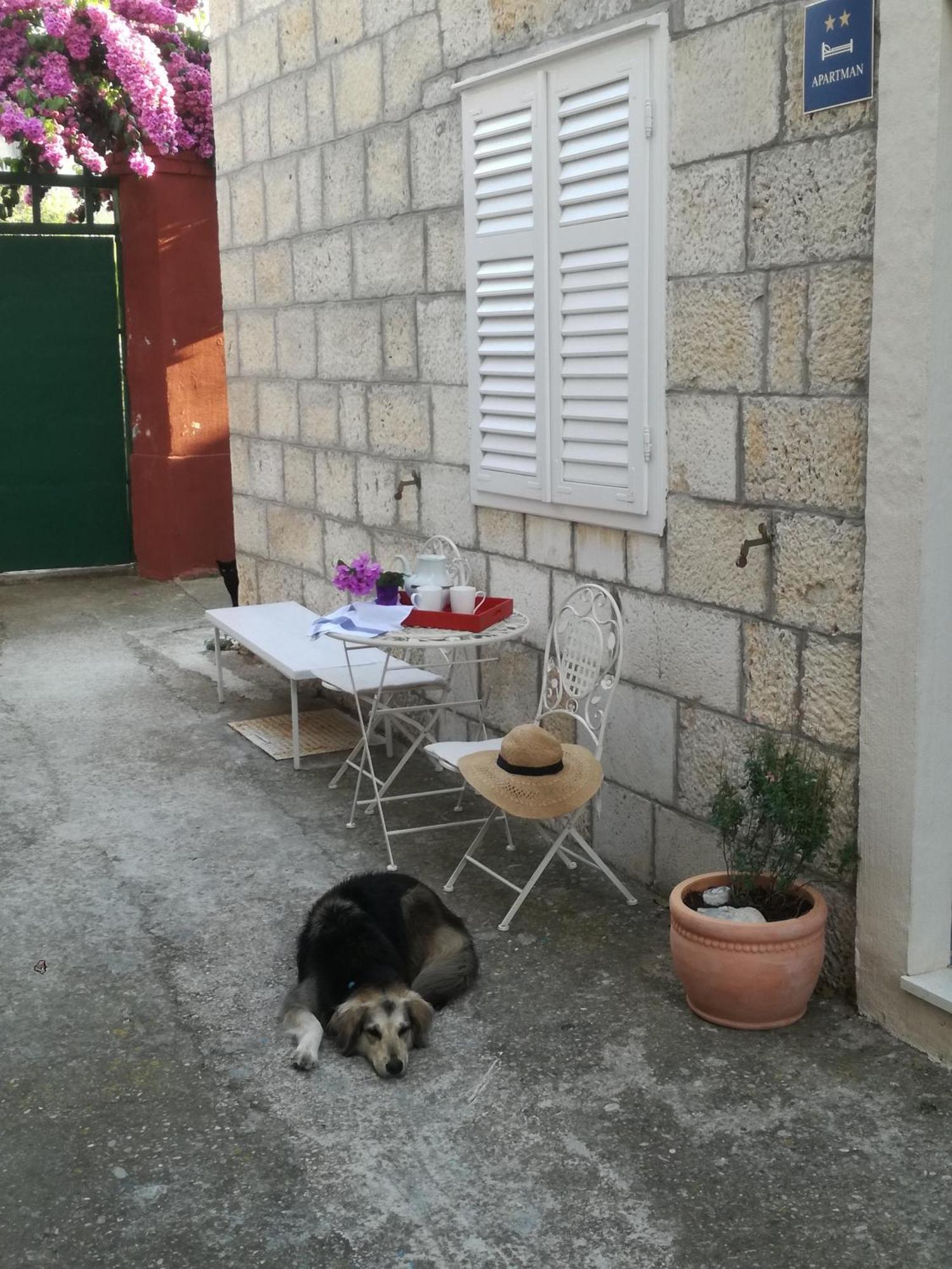 Holiday Home Isabella Vis Exterior foto